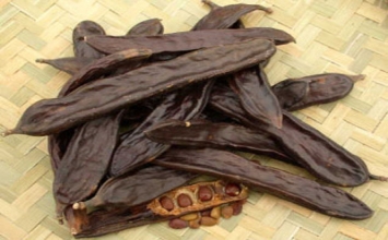 Thuốc hay từ bồ kết